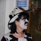 DSC_0087_jpg-1299661023.jpg
