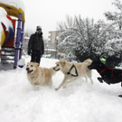 Schneechaos in Ankara