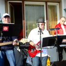 Baracudas live