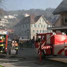 IMG_7155.jpg