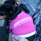 meiningen 009_jpg-1299688673.jpg