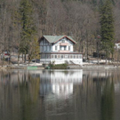 normal_08032011tumseeffaktivnews_08.jpg