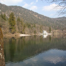 normal_08032011tumseeffaktivnews_12.jpg