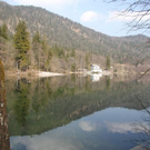 normal_08032011tumseeffaktivnews_22.jpg