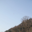 normal_09032011paragleiterffaktivnews_03.jpg
