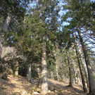 normal_09032011paragleiterffaktivnews_12.jpg
