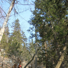 normal_09032011paragleiterffaktivnews_14.jpg