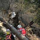 normal_09032011paragleiterffaktivnews_23.jpg