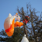 normal_09032011paragleiterffaktivnews_30.jpg