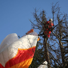 normal_09032011paragleiterffaktivnews_35.jpg