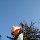 normal_09032011paragleiterffaktivnews_37.jpg