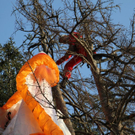 normal_09032011paragleiterffaktivnews_47.jpg