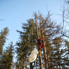 normal_09032011paragleiterffaktivnews_56.jpg