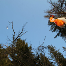 normal_09032011paragleiterffaktivnews_54.jpg