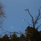 normal_09032011paragleiterffaktivnews_52.jpg