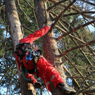 normal_09032011paragleiterffaktivnews_63.jpg