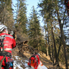 normal_09032011paragleiterffaktivnews_66.jpg