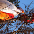 normal_09032011paragleiterffaktivnews_76.jpg