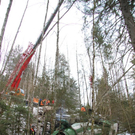 normal_09032011lkwffaktivnews_024.jpg