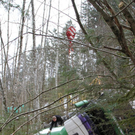 normal_09032011lkwffaktivnews_057.jpg