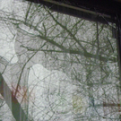 22_2_11 068_jpg-1299710687