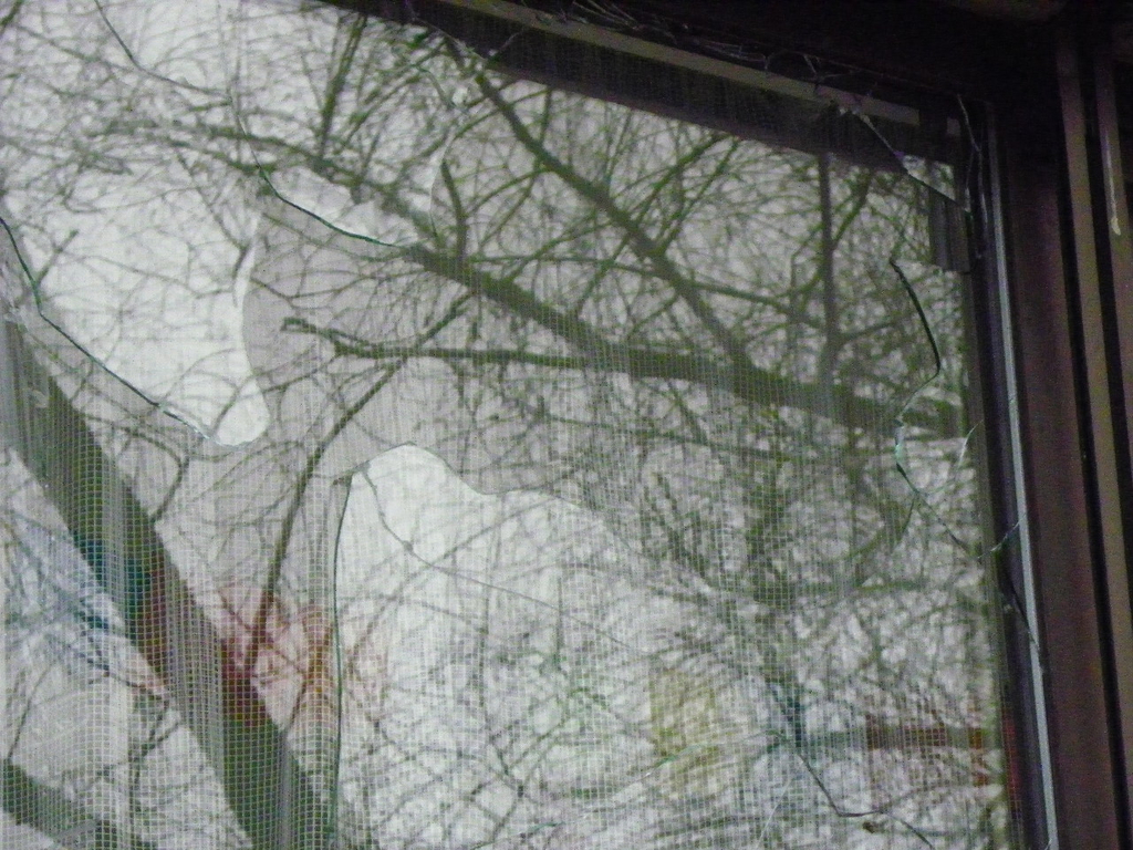 22_2_11 068_jpg-1299710687