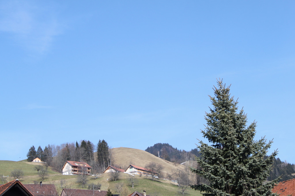 IMG_4965_1.jpg