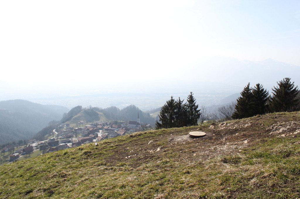 IMG_4958_1.jpg