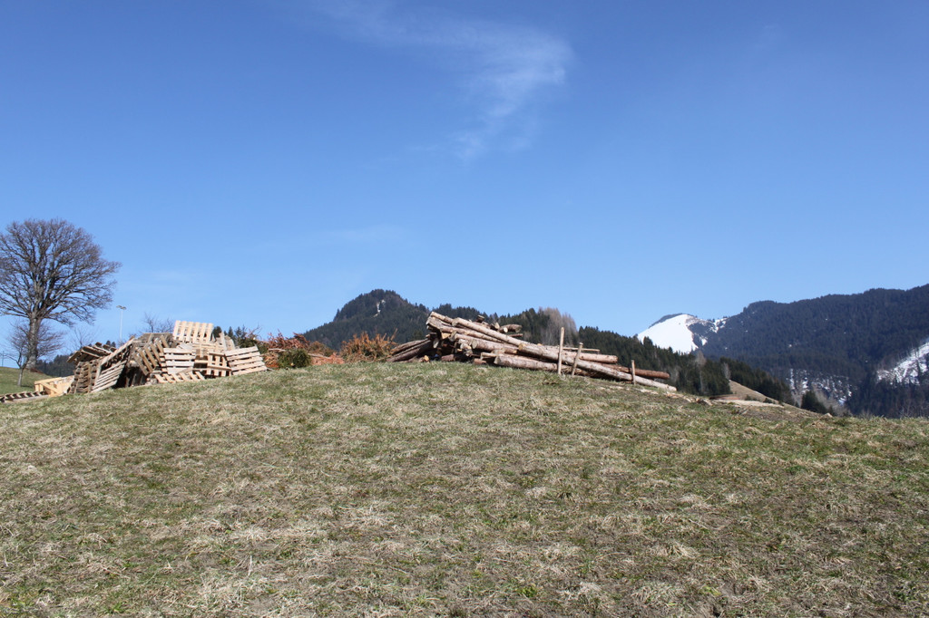 IMG_4961_1.jpg