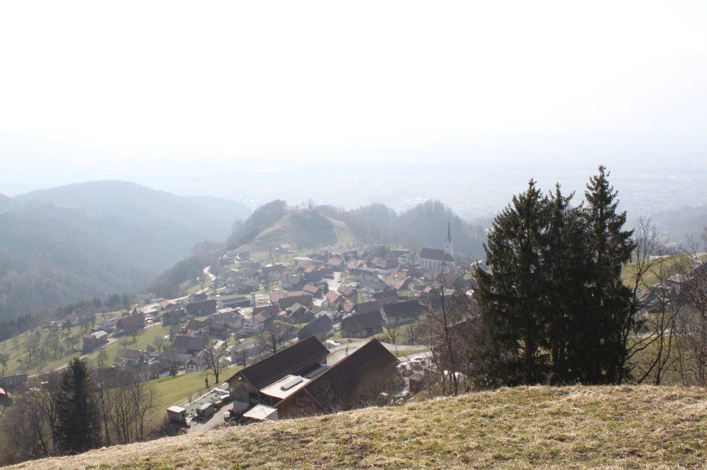 IMG_4962_1.jpg