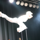 IMG_1227_JPG-1299776680.jpg
