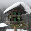 024_bearbeitet-1_jpg-1299839042