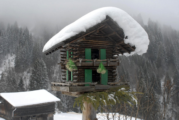 024_bearbeitet-1_jpg-1299839042
