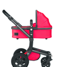 Baby_Junior_04.jpg