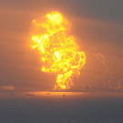 dc1-5yq7wmtwd6vy3rwi4fc_original.jpg