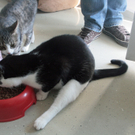 Tiere der Woche KW 10