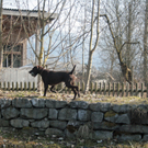 IMG_9407.jpg