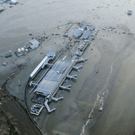 Bilder V: Zahlreiche Tote in Japan