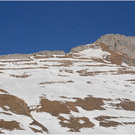 20110311_hahnenk__pflelauf_vorhut_024_luc.JPG