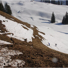 20110311_hahnenk__pflelauf_vorhut_028_luc.JPG