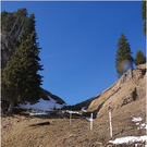 20110311_hahnenk__pflelauf_vorhut_030_luc.JPG