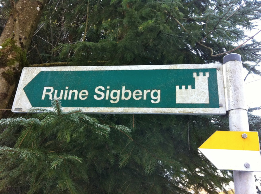 BK_Ruine Sigburg 1_jpg-1299882470