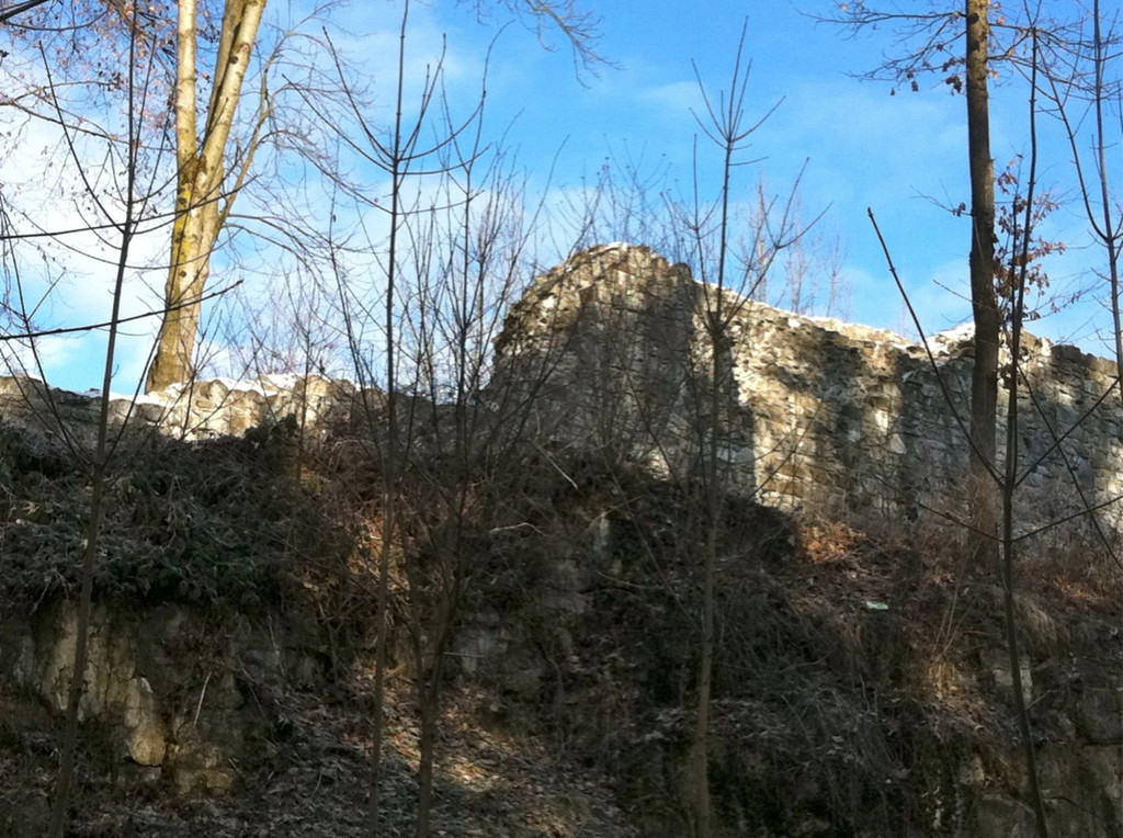 BK_Ruine Sigburg 3_jpg-1299882477