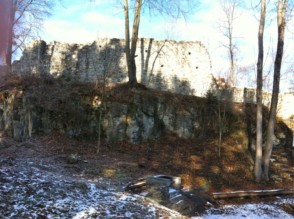 BK_Ruine Sigburg 5_jpg-1299882485