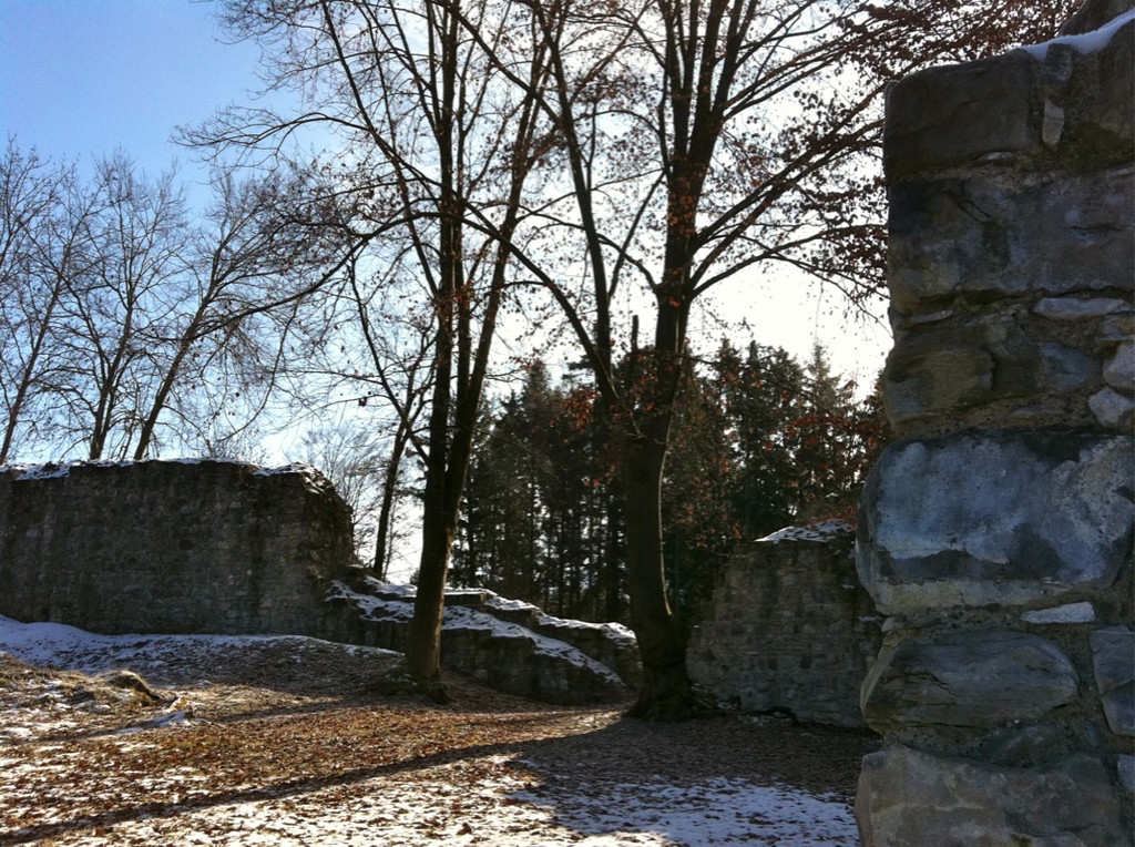 BK_Ruine Sigburg 12_jpg-1299882514