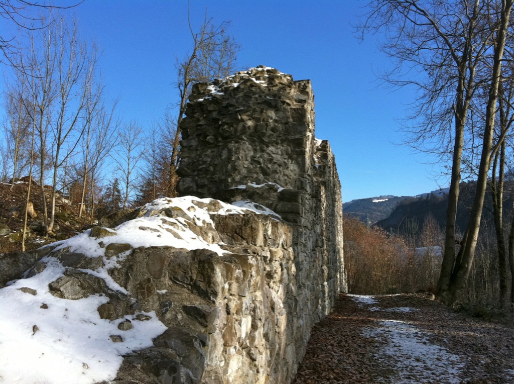 BK_Ruine Sigburg 13_jpg-1299882518