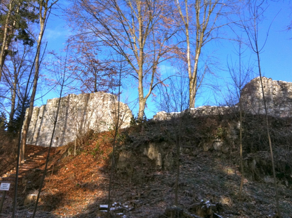 BK_Ruine Sigburg 15_jpg-1299882526