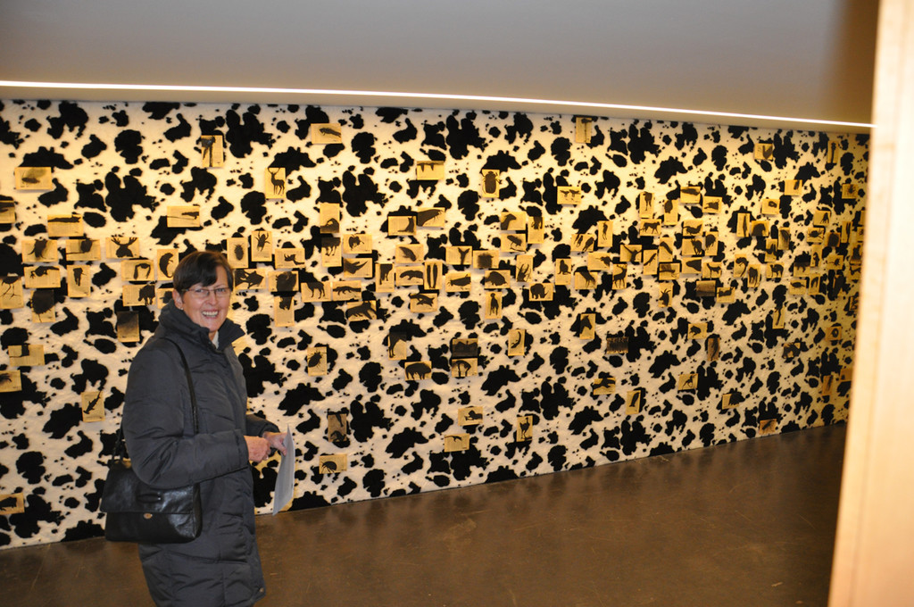 galerie1_jpg-1299884986