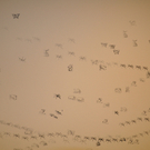 galerie2_jpg-1299885029