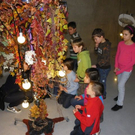 109_3620_jpg-1299893095